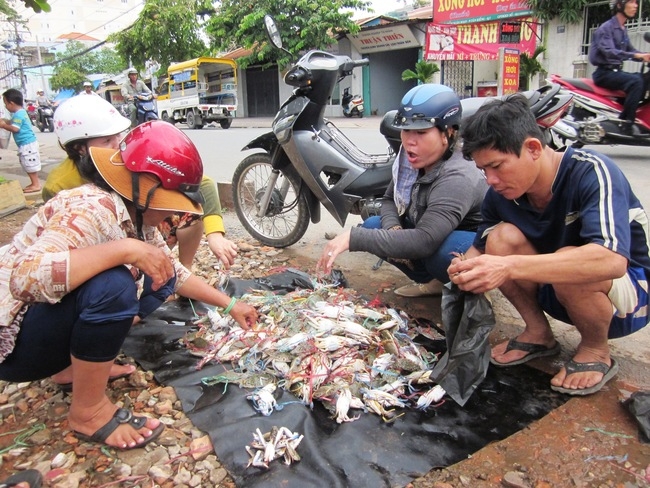 Cẩn trọng khi mua ghẹ “siêu rẻ” bán ở lề đường